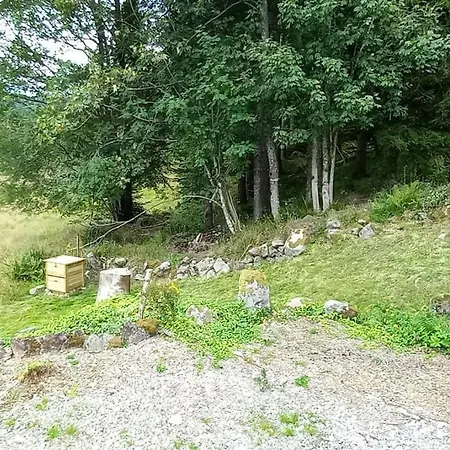 Gite Le Grand Cerf Piscine Et Spa