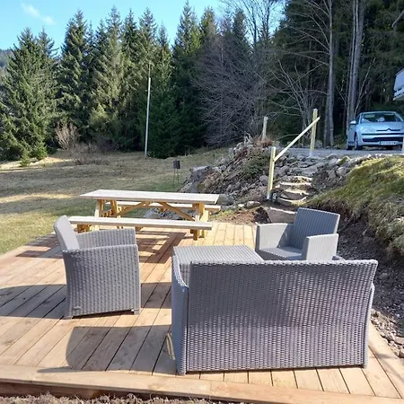Gite Le Grand Cerf Piscine Et Spa Holiday home Xonrupt-Longemer